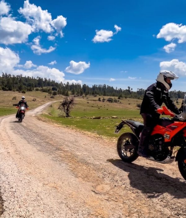 Motocicleta de aventura cruzando un bosque de cedros en el Medio Atlas